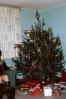 Christmas Tree, Presents, 1960s, PHCV04P10_17