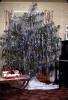 Decorated Tree , Present, tinsel, Oaklyn NJ, 1950s, PHCV05P01_10