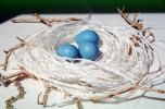 Blue eggs, paper nest, jewelry, twigs, PHEV01P03_10