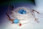 Ruby Ring, Blue eggs, paper nest, jewelry, twigs, PHEV01P03_18