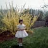 Easter Girl, Backyard, flower tree, 1950s, PHEV01P08_15