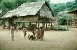 Children Playing in Thailand, houses, homes, buildings, Hill Tribes, Chiang Mai, 1970, PLGV04P01_04