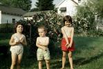 Siblings in the Summer, outdoors, 1950s, PLPV15P08_12