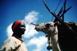 Woman with Camel, Refugee from war, Nomad, Nomadic, Somalia, PORV03P02_05