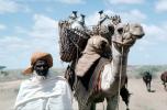 Man with Camel, Refugee from war, Nomad, Nomadic, Somalia, PORV03P02_09