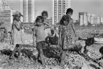 Girl Picking Trash, Fort Beach, Khroorow Baug, Mumbai, POVPCD3306_037
