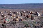 Refugee Camp, near the Ethiopia Somalia border, African Diaspora, Desertification, Sod, POVV01P01_04B