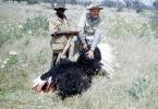 Ostrich, Poachers, Hunter, poaching, poached, Africa, African, 1951, 1950s, PRGV01P10_03