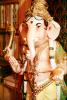 Ganesh, statue, Deity, RCTV07P04_19