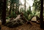 Tent, Boulder, Trees, Forest, RVCV01P05_10