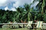 Lounge Chairs, Coconut Palm Trees, Barbados, 1950s, RVLV07P14_04