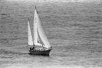 Sailboat, Sailing, SALPCD2930_100