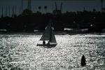 sailboat on the bay, SALV01P05_09