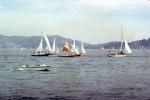 Sailboats, Marin County, 1950s, SALV01P13_06