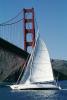 Golden Gate Bridge, SALV04P02_08