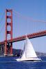 Golden Gate Bridge, SALV04P02_12