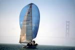 spinnaker in the Wind, SALV04P13_15
