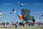 Albuquerque International Balloon Fiesta, morning, Crowds, People, SBLV01P07_01
