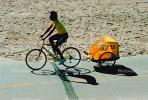 Marvin Braude Bike Trail, path, shoreline, strand, SBYV02P11_06.2662