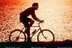 Man Riding Bicycle, Tiburon Linear Park, Bay, water, sunset, SBYV03P01_18B