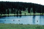 Fishermen, Wade Fishing, Yellowstone River, SFIV01P04_15