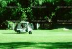 Golfer, golf cart, SGFV01P01_18