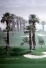 desert storm, golf course, Wind, Palm Springs, SGFV01P07_13B