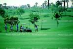 Teeing, Golf Cart, trees, golfers, Palm Springs, SGFV01P09_12