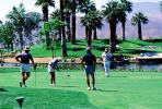 putting green, trees, golfers, lake, Palm Springs, SGFV01P09_17