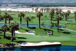 sand trap, water hazard, lake, golfer, golf cart, trees, Palm Desert, California, SGFV01P10_03.2658