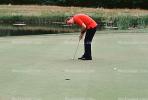 putting green, Man, Putting, Golfer, Golf Course in Blaine, Washington State, SGFV01P14_02
