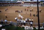 Stands, Crowds, Spectators, Cheyenne Frontier Days, 1950s, SHTV01P01_15