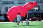 Pink Pig, Flying a Kite, SKTV01P08_08