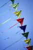 Flying a Kite, SKTV01P10_05