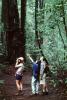 Redwood Forest, path, people, STHV01P07_10