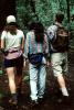 Redwood Forest, path, people, STHV01P08_02