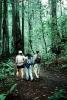 Redwood Forest, path, people, STHV01P08_06