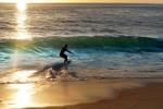 Scim Board Surfer, Wave at the Shore, Shoreline, SURD01_064