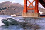 Fort Point, Golden Gate Bridge, SURV02P08_03