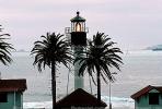 New Point Loma Lighthouse, California, West Coast, Pacific Ocean, TLHV01P03_17.1714