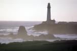 Pigeon Point Lighthouse, California, Pacific Ocean, West Coast, TLHV01P11_04