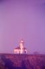 Cape Arago Lighthouse, Chief's Island, Oregon, West Coast, Pacific Ocean, TLHV03P07_04