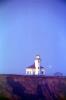 Cape Arago Lighthouse, Chief's Island, Oregon, West Coast, Pacific Ocean, TLHV03P07_05