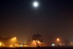 night, fog, nighttime, TOLD01_032