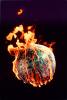 Global Warming, Earth, Globe, Ball, The World Ablaze, Burning Globe, flames, fire, circle, round, Climate Change, circular, TOPV02P10_19