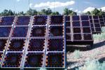 Photovoltaic Solar Cells, TPSV01P05_12