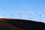 Wind farms, Altamont Pass, TPWV01P05_04