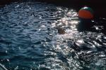 ball floating on water, pool, 1950s, TSPV01P06_15