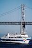 Golden Gate Ferry Boat, Ferryboat, TSPV04P02_18
