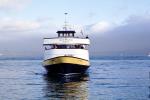 Angel Island Ferry, Tiburon, Blue and Gold Fleet, Ferry, Ferryboat, head-on, TSPV04P15_05